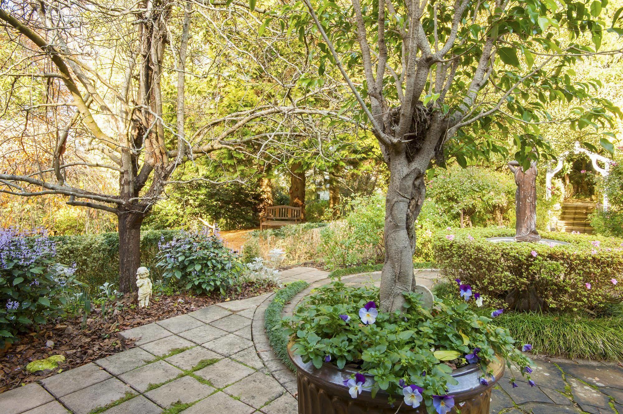Clarendon Cottages Sassafras Exteriér fotografie